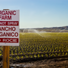 ‘Scientists’ Say Eating Organic Food Makes You a Jerk ‘Scientists’ Say Eating Organic Food Makes You a Jerk