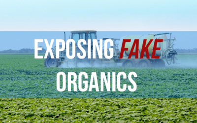 organic food certification