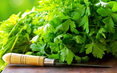 parsley