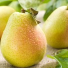 Diet Rich in Apples and Pears may Lower Stroke Risk by 52% Diet Rich in Apples and Pears may Lower Stroke Risk by 52%