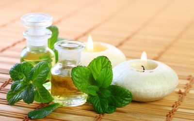 peppermint herbs