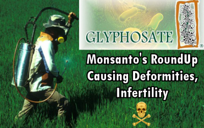 glyphosate pesticides