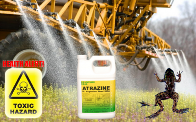 atrazine