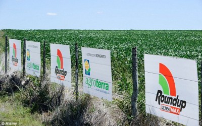 roundup