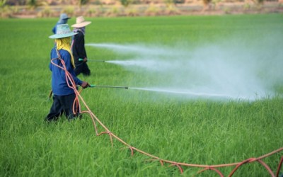 pesticide spraying