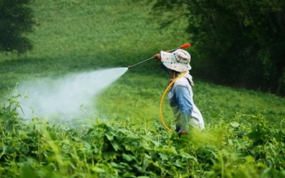 pesticide spray
