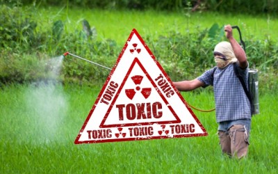 pesticide toxic reproductive decades causing banned problems still