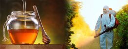 Uh Oh: FDA Finds Glyphosate Herbicide in U.S. Honey