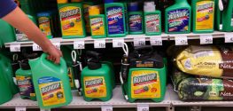 California Judge Tentatively OKs Roundup Cancer Warning Label