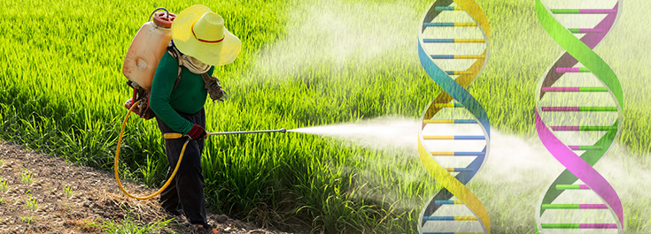 pesticides-spraying-dna-735-260