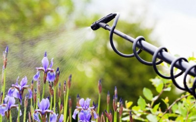 pesticides