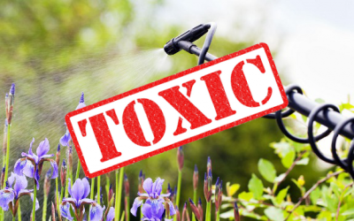 pesticides