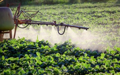 pesticide