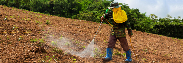 pesticides_herbicide_man_spray_735_255-2
