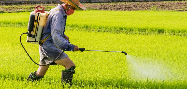 pesticides_man_spraying_field_735_350
