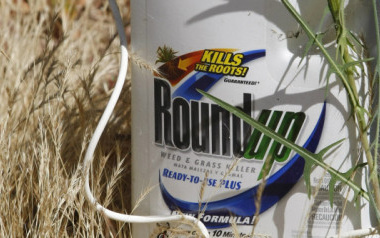 roundup