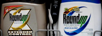 WHO Expert: “Glyphosate is Definitely Genotoxic”