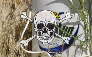 roundup toxic