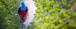 EPA Delays Rule That Would Help Prevent Pesticide Poisoning