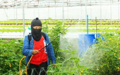 pesticides