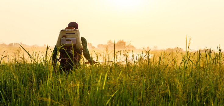 pesticides_sun_735_350