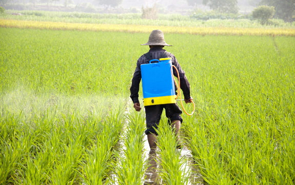 Monsanto’s Infertility-Linked Roundup Found in All Urine Samples Tested