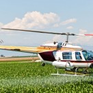 New Study Confirms GMO Crops Causing More Pesticide Use, Superweeds New Study Confirms GMO Crops Causing More Pesticide Use, Superweeds