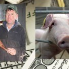 Farmer Hit With $700,000 Fine For Raising Hogs Farmer Hit With $700,000 Fine For Raising Hogs