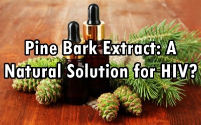 pine bark extract