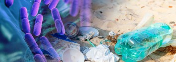Huge Discovery: Bacterium that "Eats" Plastic Waste
