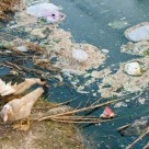 World’s Oceans ‘Plasticized’ and Trashed, Finds Research Ship World’s Oceans ‘Plasticized’ and Trashed, Finds Research Ship