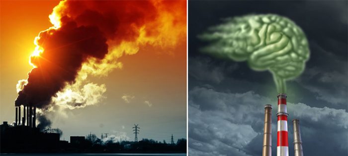 toxic air pollution and the brain