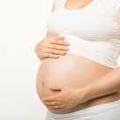 Common Contaminants Lead and Cadmium Damaging Fertility Common Contaminants Lead and Cadmium Damaging Fertility