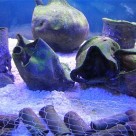 2,000 Year-Old Shipwreck Discovered, Contains Natural Medicines 2,000 Year-Old Shipwreck Discovered, Contains Natural Medicines