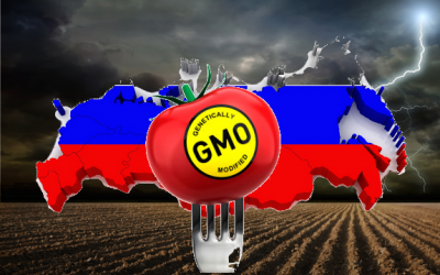 russia gmo