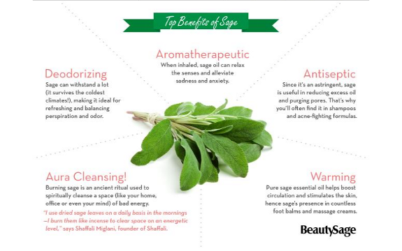 Infographic: The Benefits of Sage - A Super Healing Herb