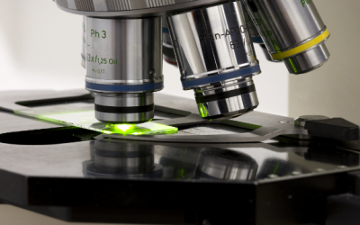 microscope