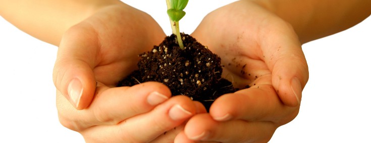 seeds_nature_735_285