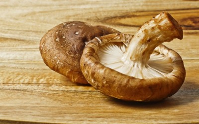 shiitake mushrooms