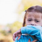 Newly Emerged H3N8 Seal Flu Virus Touted as Next ‘Pandemic’ Newly Emerged H3N8 Seal Flu Virus Touted as Next ‘Pandemic’