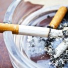 Smoking Causes Serious Genetic Damage in Minutes Smoking Causes Serious Genetic Damage in Minutes