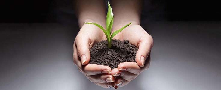 soil-dirt-farm-nature-plants-735-300