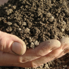 Admittedly Illegal Genetically Modified Soil Fungus Present in ‘Organic’ Products Admittedly Illegal Genetically Modified Soil Fungus Present in ‘Organic’ Products
