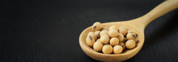 New Study: GMO Soy Accumulates Cancerous Formaldehyde