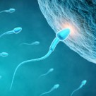 3 Reasons the French Sperm Count Dropped by 1/3 in 17 Years 3 Reasons the French Sperm Count Dropped by 1/3 in 17 Years