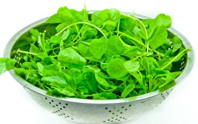 spinach in bowl