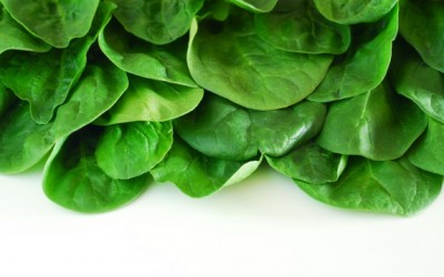 spinach leaves