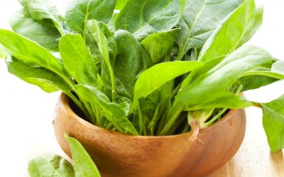 spinach in a bowl