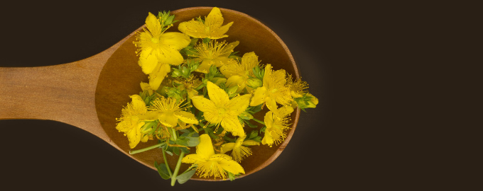 st-johns-wort-680