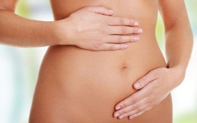 stomach